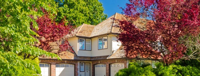 a home with trees and shrubs turning colors for fall season