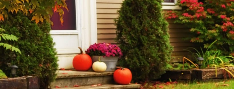 Home entry with potted mums and pumpkins—clean, welcoming front door setup.