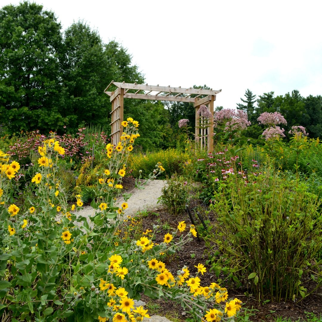 Witt Pollinator Garden at the Cincinnati Nature Center